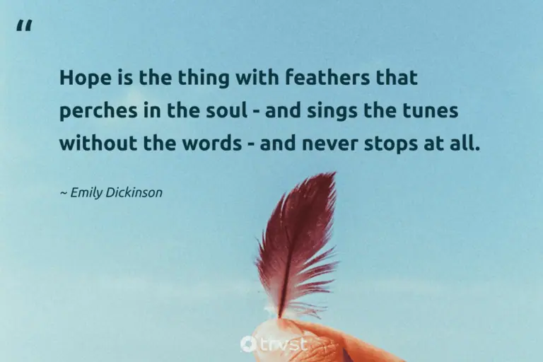 "Hope is the thing with feathers that perches in the soul - and sings the tunes without the words - and never stops at all." -Emily Dickinson #trvst #quotes #collectiveaction #ecoconscious #LifeIsHard #HardLife
