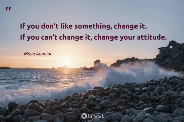 "If you don't like something, change it. If you can't change it, change your attitude." -Maya Angelou #trvst #quotes #bethechange #socialimpact #LifeIsHard #attitude #HardLife