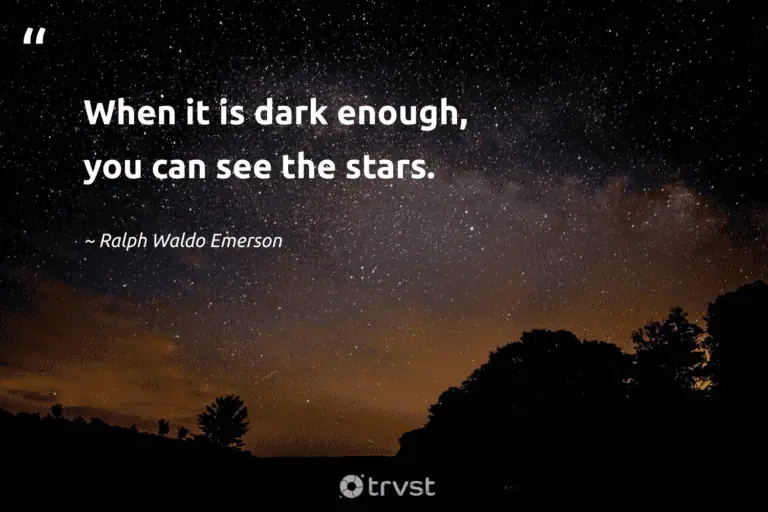 "When it is dark enough, you can see the stars." -Ralph Waldo Emerson #trvst #quotes #socialimpact #bethechange #LifeIsHard #HardLife