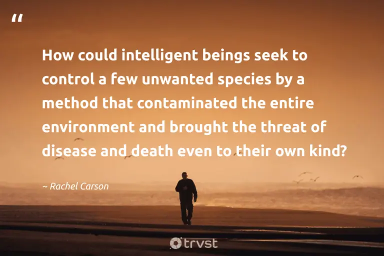 "How could intelligent beings seek to control a few unwanted species by a method that contaminated the entire environment and brought the threat of disease and death even to their own kind?" -Rachel Carson #trvst #quotes #planetearthfirst #gogreen #RachelCarson 