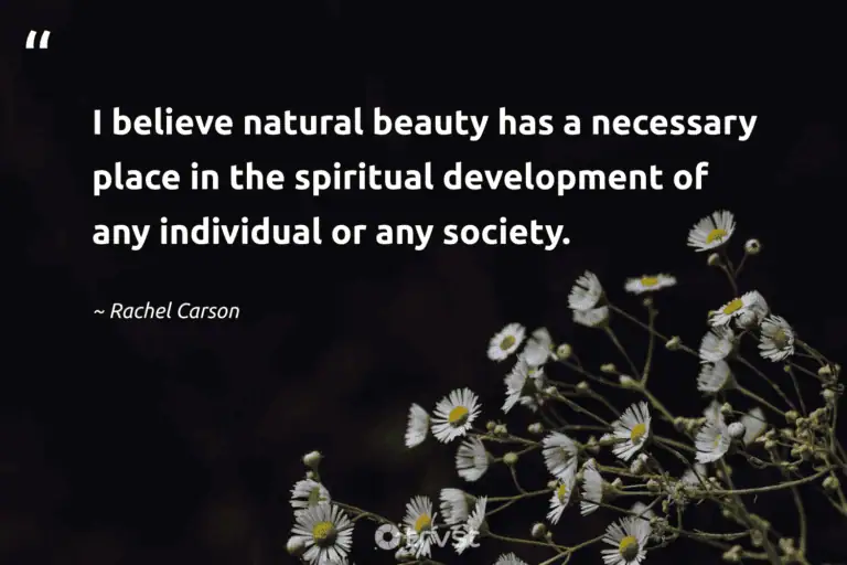 "I believe natural beauty has a necessary place in the spiritual development of any individual or any society." -Rachel Carson #trvst #quotes #socialchange #changetheworld #RachelCarson #spiritual #natural #development #beauty 