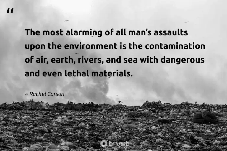 "The most alarming of all man’s assaults upon the environment is the contamination of air, earth, rivers, and sea with dangerous and even lethal materials." -Rachel Carson #trvst #quotes #thinkgreen #takeaction #RachelCarson #earth 