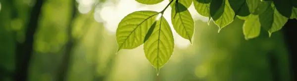 April-2: National & International Days, Celebrations and Observances