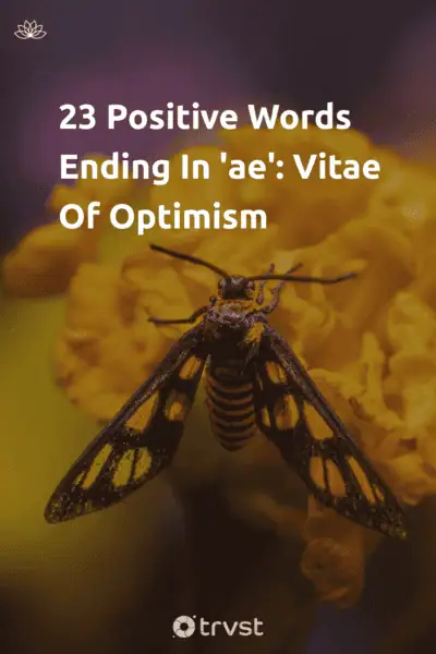 Pinterest Image for 23 Positive Words Ending In 'ae': Vitae Of Optimism