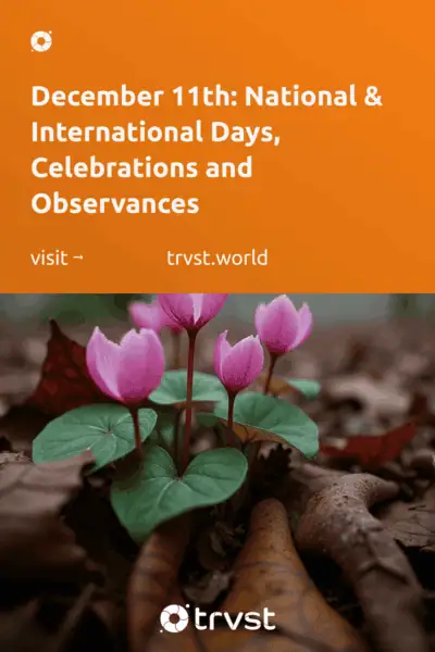 Pinterest Image for December 11th: National & International Days, Celebrations and Observances