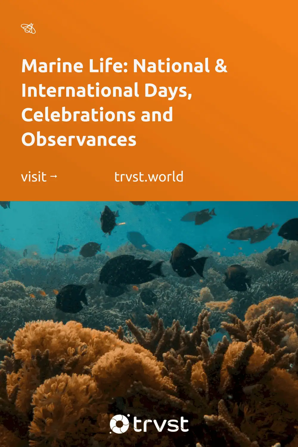 Sea Life Week Marine Life: National & International Days, Celebrations and Observances