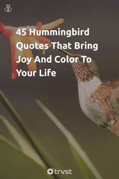 Pinterest Image for 45 Hummingbird Quotes That Bring Joy And Color To Your Life