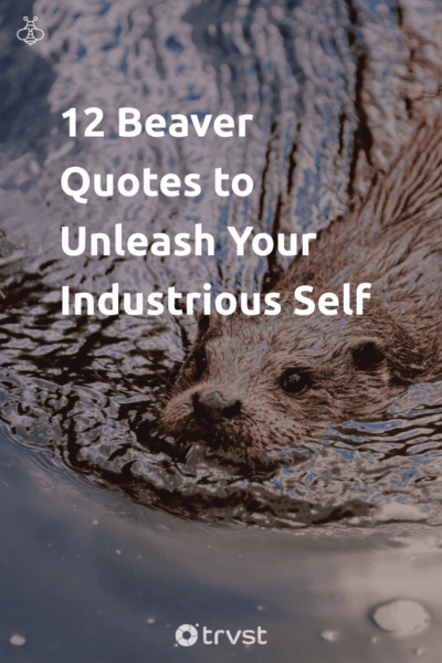 Pinterest Image for 12 Beaver Quotes to Unleash Your Industrious Self