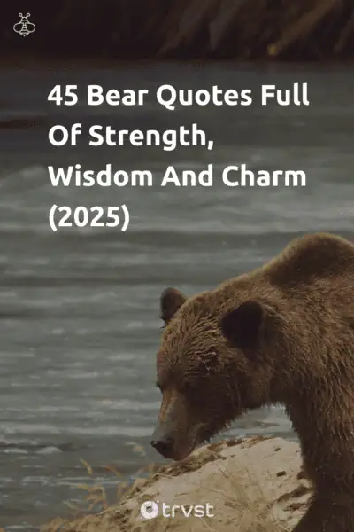 Pinterest Image for 45 Bear Quotes Full Of Strength, Wisdom And Charm (2025)