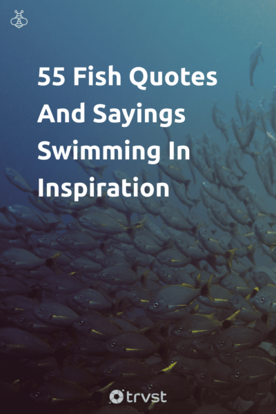 Pinterest Image for 55 Fish Quotes And Sayings Swimming In Inspiration