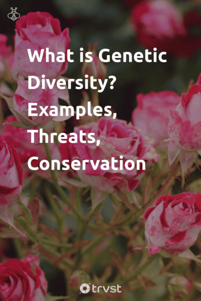 Pinterest Image for What is Genetic Diversity? Examples, Threats, Conservation