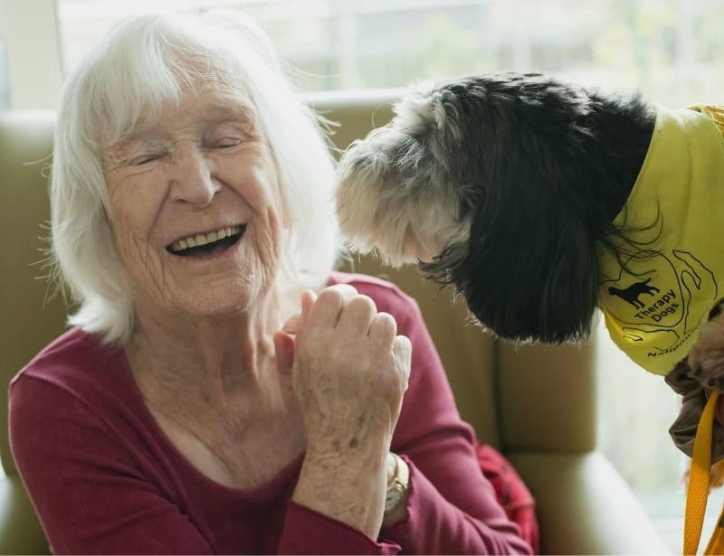 dog sniffing smiling female elderly
