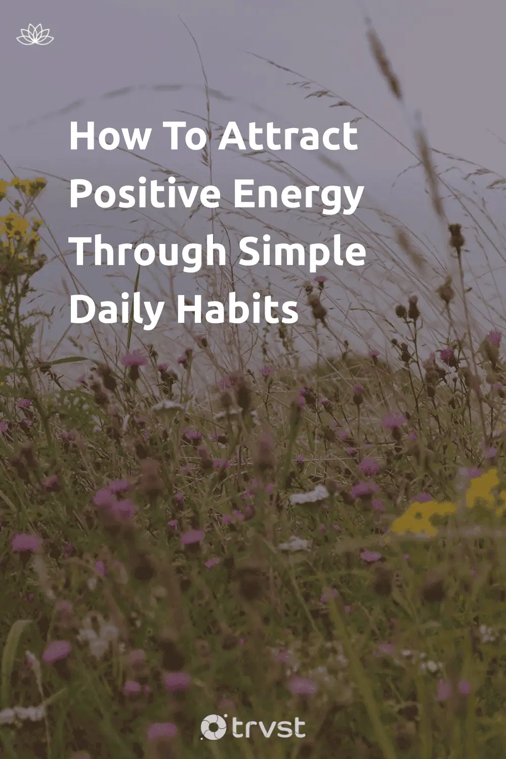 Pinterest Image for How To Attract Positive Energy Through Simple Daily Habits