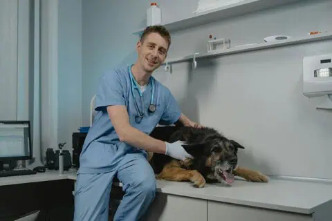 World Veterinary Day