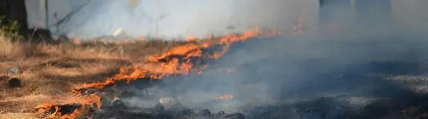 Fires and Floods of July
