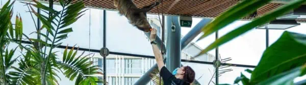 National Zoo Keeper Week