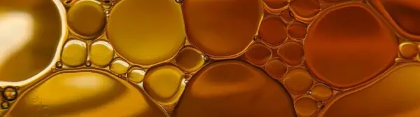 International Biodiesel Day