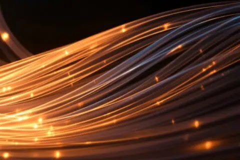 National IT Professionals Day