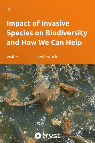 Pinterest Image for Impact of Invasive Species on Biodiversity and How We Can Help