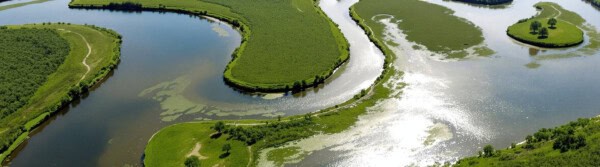 World Wildlife Conservation Day