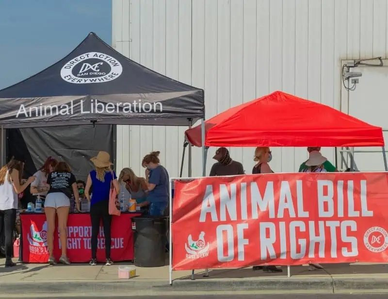 black red booth stall of animal activist group