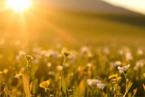 Hunt For Happiness Week