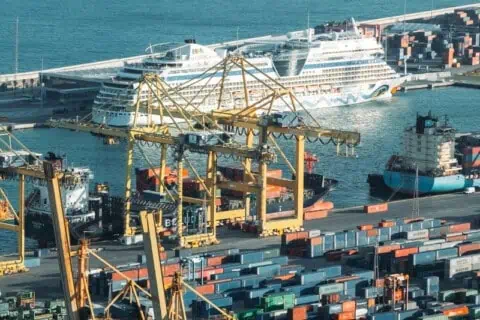 International Customs Day