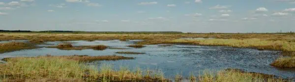 Restoring Wetlands Through the Lens of Cultural Heritage