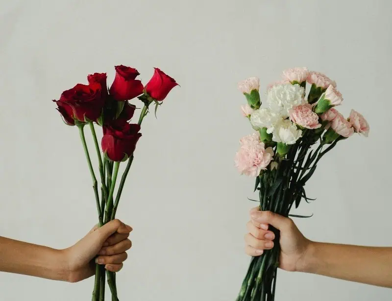 two hands holding bunch of red white pink roses