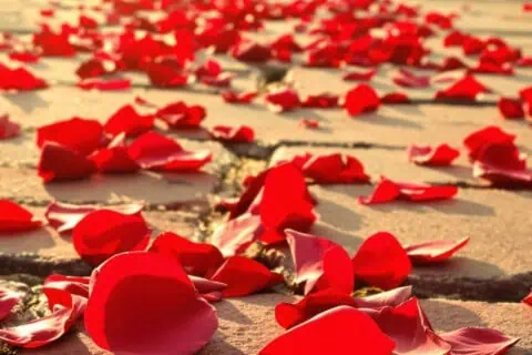 Valentine's Day History
