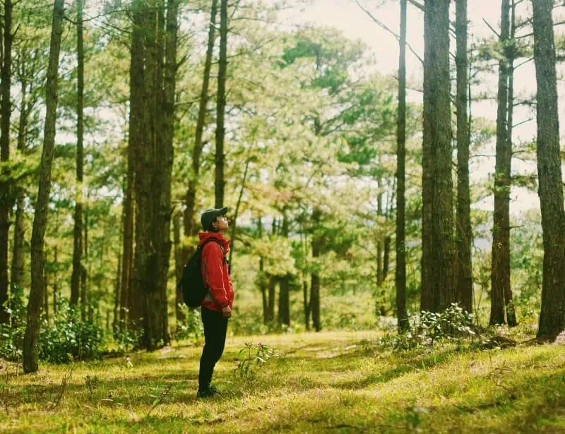 man with red hoodie looking up in middle of forest