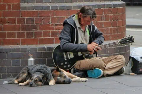 Feeding Pets of the Homeless Week: Ways To Help