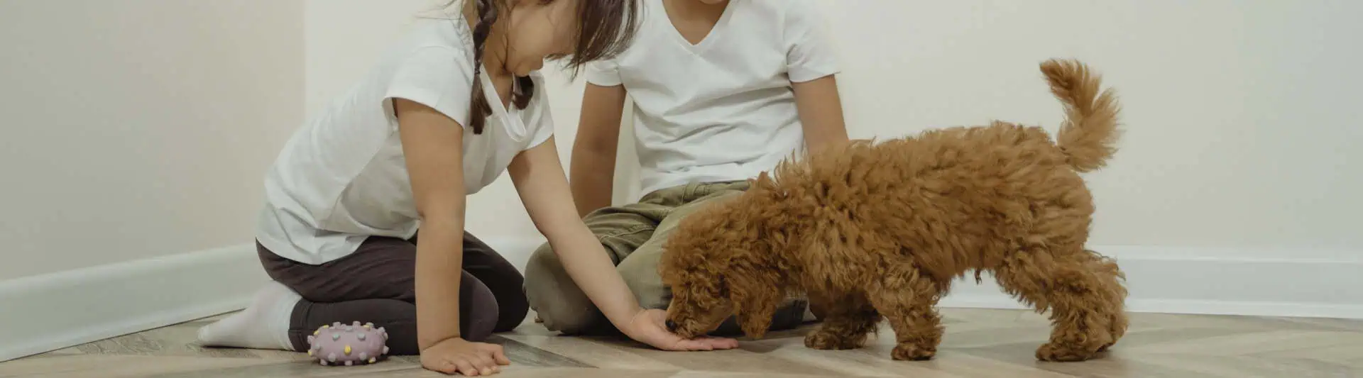 Kids and Pets Day: Building Bonds That Last a Lifetime