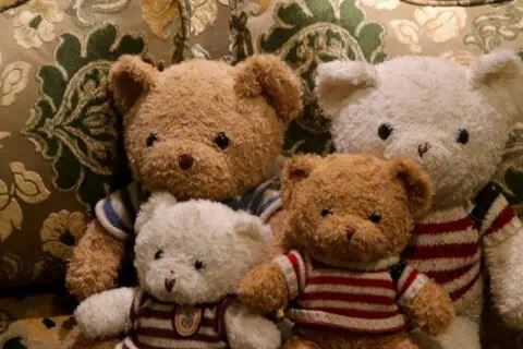 National Teddy Bear