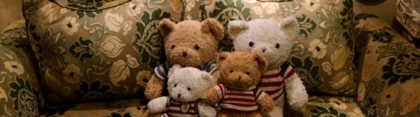 National Teddy Bear