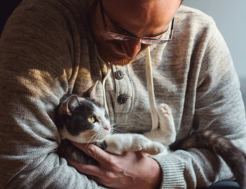 man with glasses lovingly hugging black and white cat soft sunset glow