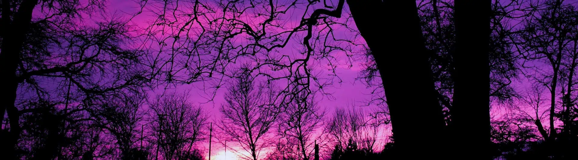 Purple Day: Global Epilepsy Awareness Movement