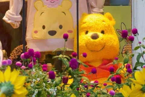 Winnie The Pooh Day