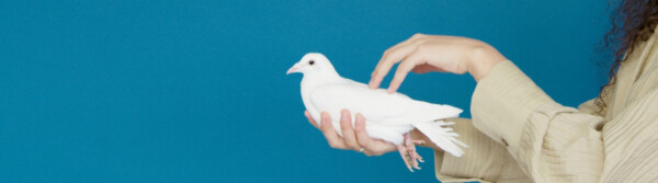 World Understanding And Peace Day